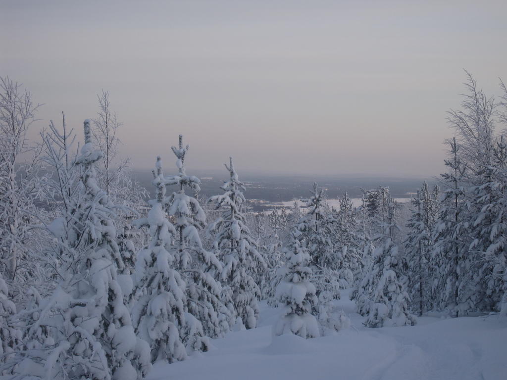 Arctic Circle Apartment Rovaniemi Exterior foto